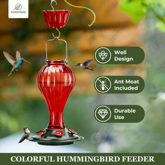 Kingsyard Glass Hanging Hummingbird Feeder Wayfair